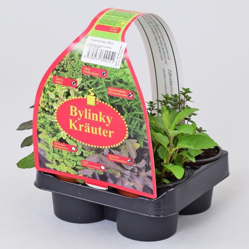 Bylinky mix grill 4 pak