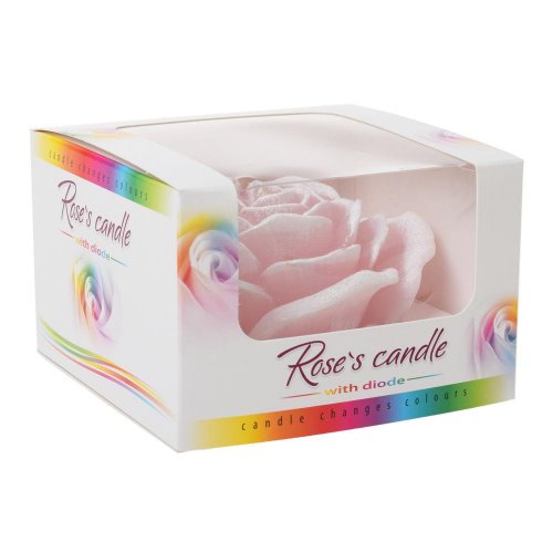 Ruža nízka dioda ružová