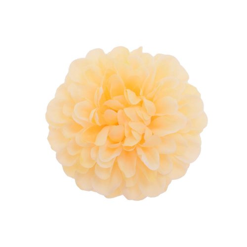 Hlava dália lososová 9cm