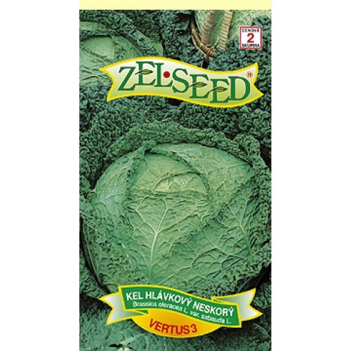 Kel neskorý vertus 0,8g - Umelé kvety