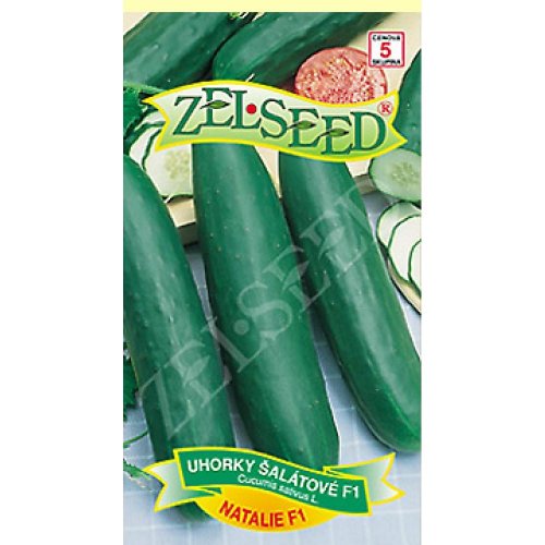 Uhorky šal.natalie f1 1g