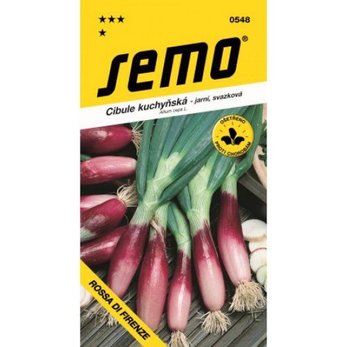 Cibuľa rossa di firenze 2g - Vianočné osvetlenie