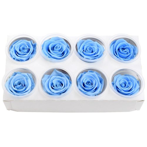 Ruža preparovaná 5cm baby blue /ks
