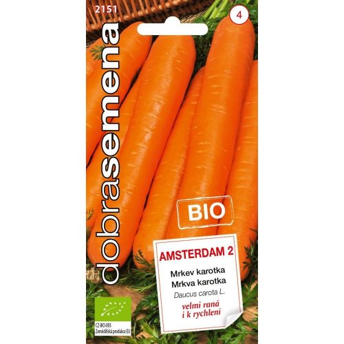 Mrkva karotka amsterdam 2 bio 2g