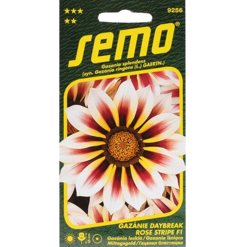 Gazánia lesklá daybreak rose stripe f1 15s