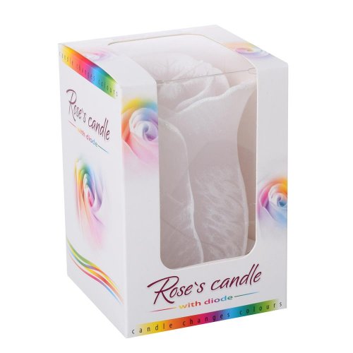 Ruža vysoká dioda biela