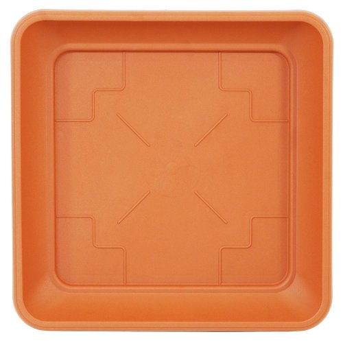 Pkwt17 miska kwadrat terra terakota 17x17xh2,4cm