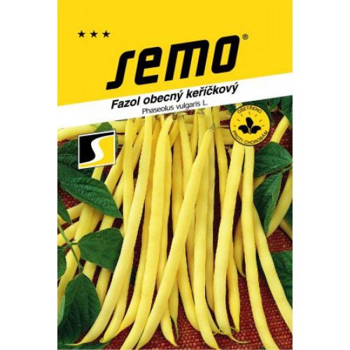 Fazuľa kríč berggold 20g