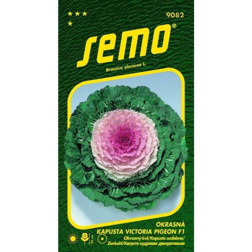 Kel okrasný victoria pigeon f1 20s