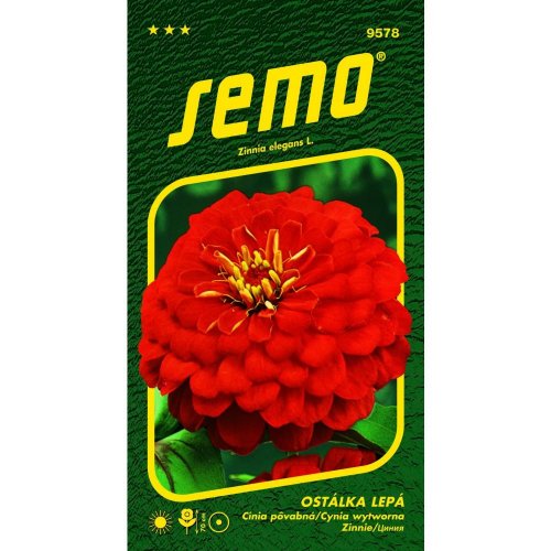 Cínia cherry queen 0,7g - Umelé kvety