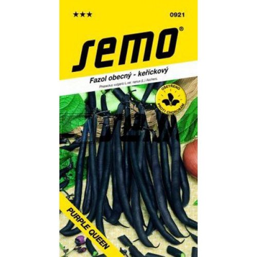 Fazuľa záhr. kr. purple queen 10g
