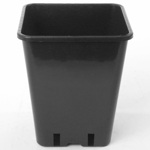 Kontajner pevná kvalita 5,6l 19,5x19,5x23cm