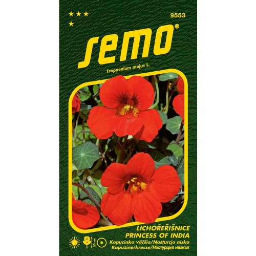 Kapucínka väčšia princess of india 2g