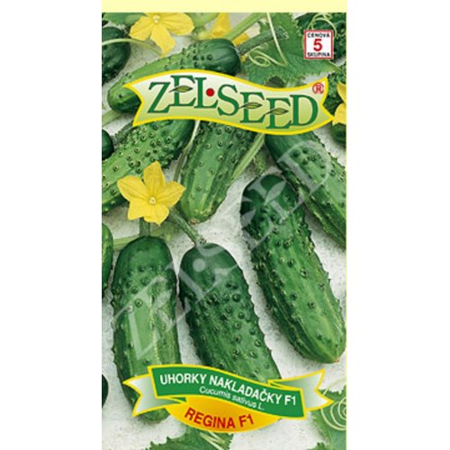 Uhorky nakl regina f1 1,8g