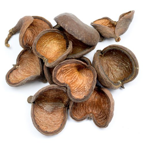 Badam nat bal.10 ks t006