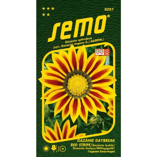 Gazánia lesklá daybreak red stripe 15s