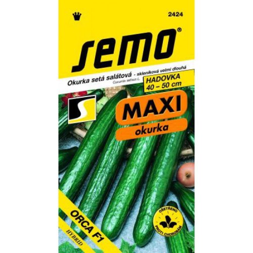 Uhorka šalát. sklenník. orca f1 10s.
