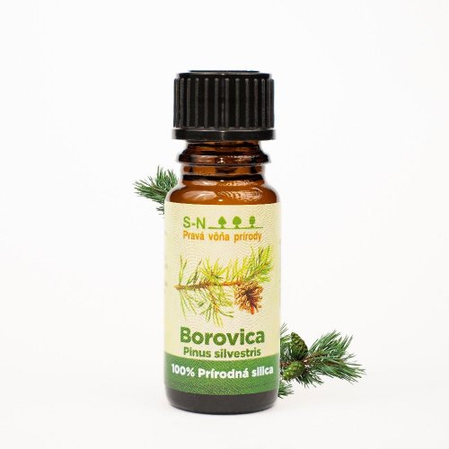 Borovica sk