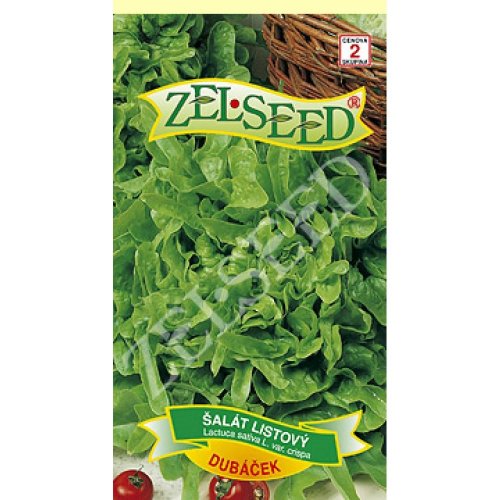 Šalát jarný list. dubáček 0,70g