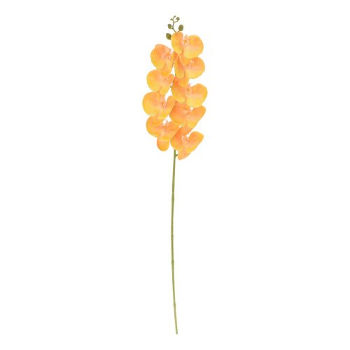 Ks orchidea phalaenopsis žltá 100cm