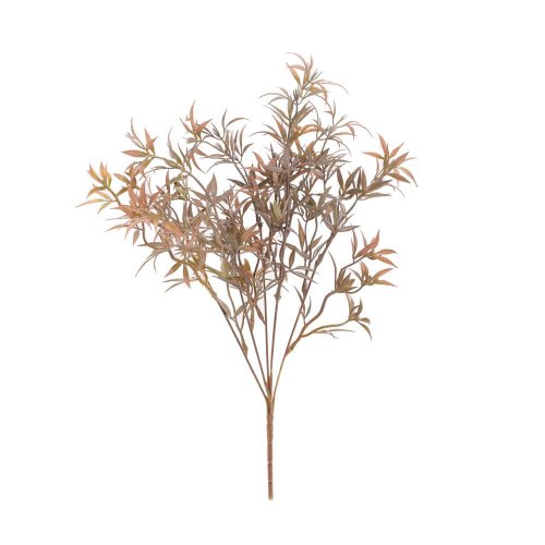 Zeleň asparagus zeleno-hnedý 43cm - Umelé kvety