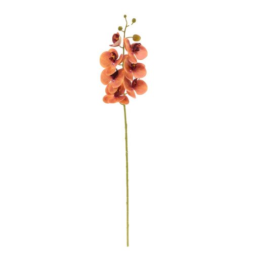 Ks orchidea phalaenopsis oranžová 73cm