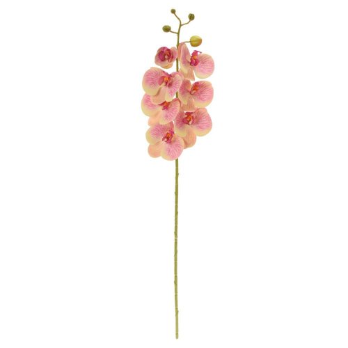 Ks orchidea phalaenopsis žlto-cyklaménová 73cm - Umelé kvety