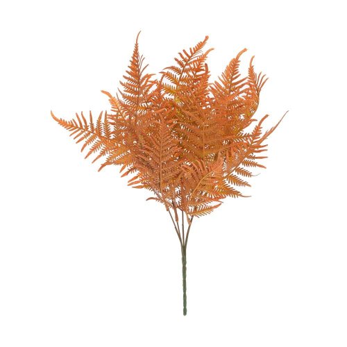 Zeleň papraď hnedá 40cm