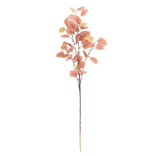 Zeleň eucalyptus populus hnedý 90cm - Umelé kvety