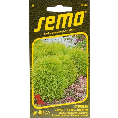 Kochia metlovitá kochie 0,7g