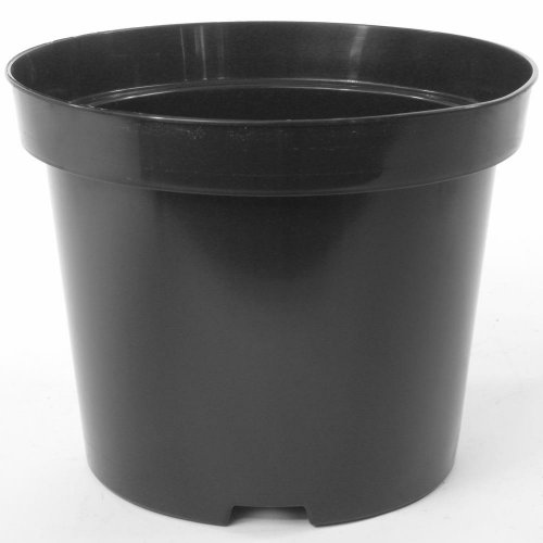 Kontajner 30/31cm, 12lsbx - Umelé kvety