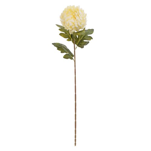 Ks chryzantéma krém 75cm - Umelé kvety