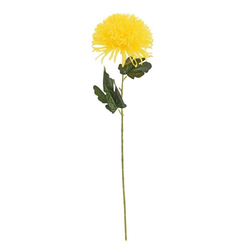 Ks chryzantéma žltá 60cm