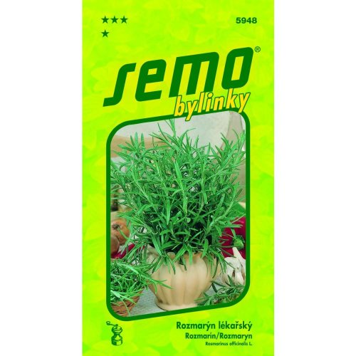 Rozmarín 0,08g - Umelé kvety