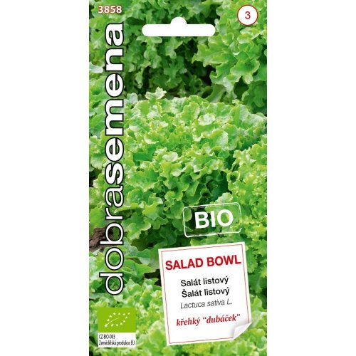 Šalát listový salad bowl bio 0,5g
