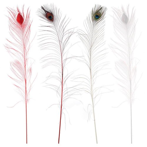 Pávie pero/ ks 90cm