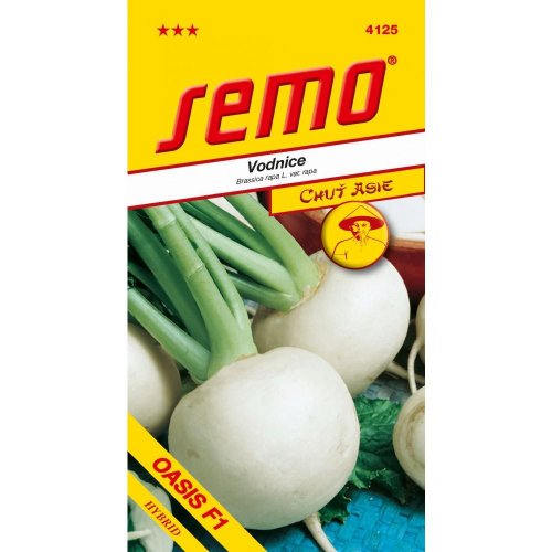 Okrúhlica oasis neskorá f1 50s.