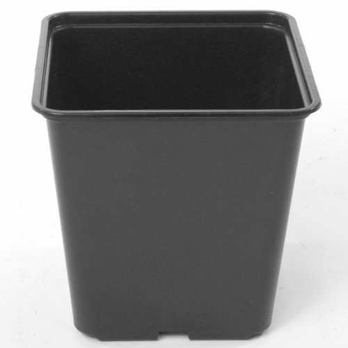 Kontajner pev. kvalita 15x15x15cm 2,5l