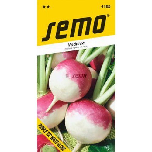 Vodnica purple top white globe 2g