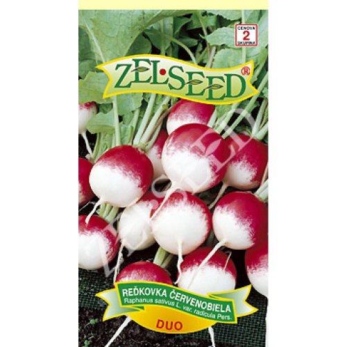 Reďkovka červ biela guľatá duo 5g