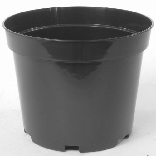 Kontajner pr.22,5cm, 5l sbx