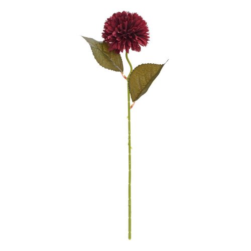 Ks chryzantéma pom-pom bordová 45cm