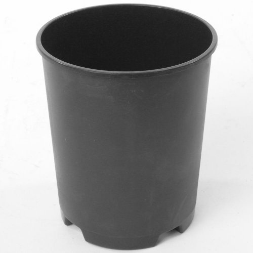 Kontajner ruže- rp - 1l