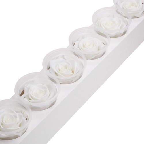 Ruža preparovaná 6,5cm pure white /ks