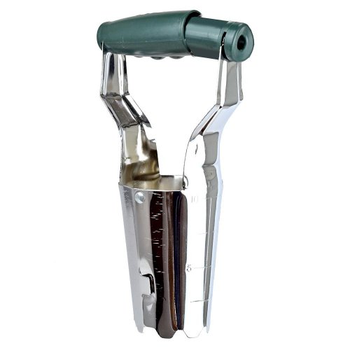 217250 sadič cibuľovín