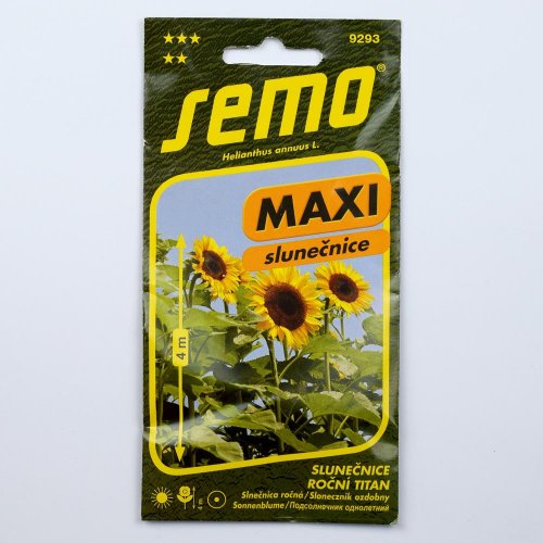Slnečnica ročná titan f1 1,1g