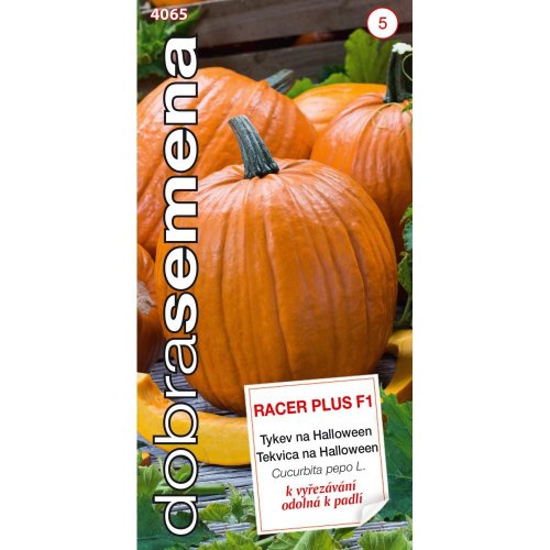 Tekvica na halloween racer plus f1 7s