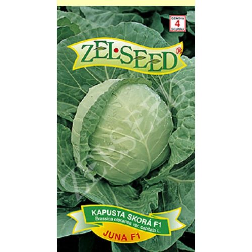 Kapusta skorá juna f1 70s