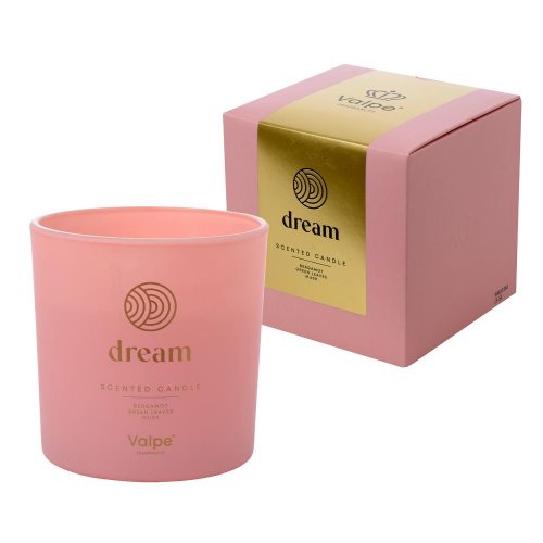 Voň.v skle dream dva knôty sn100m-391 300g - Umelé kvety