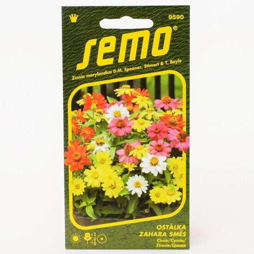 Cínia zahara mix 15s - Vianočné stromčeky